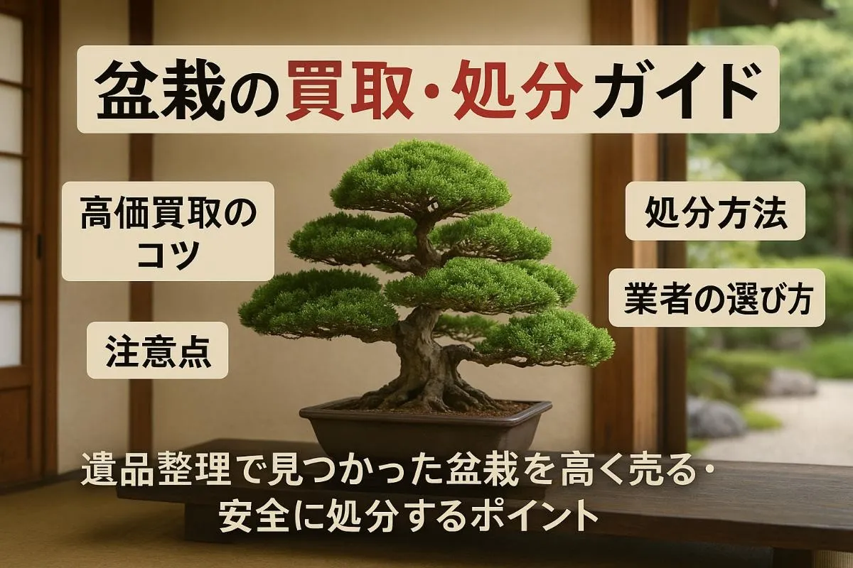 遺品整理の盆栽を安全に処分する方法と業者選びガイド