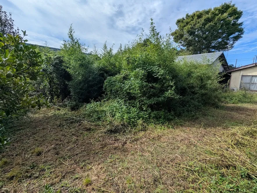 玉木町にて草刈りをしてきました！