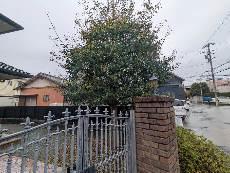 松阪市にて伐採、剪定をしてきました！