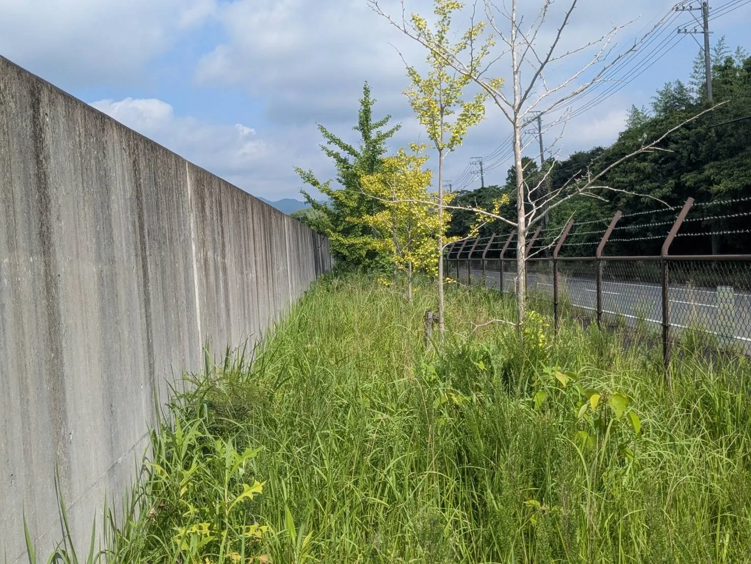 松阪市にて草刈りをしてきました！